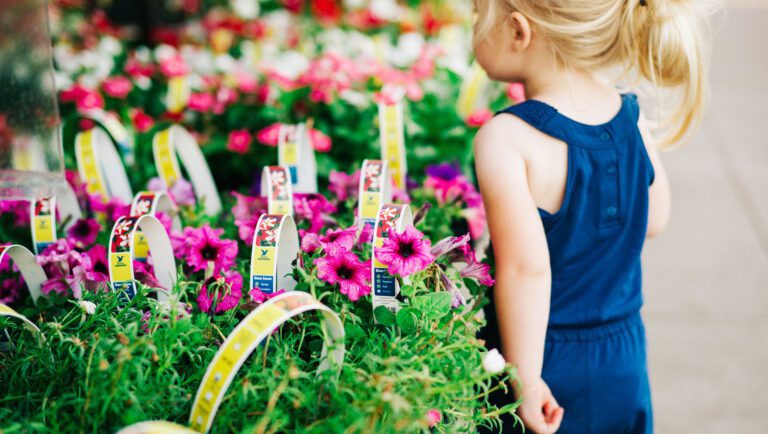 Gardening - Garden