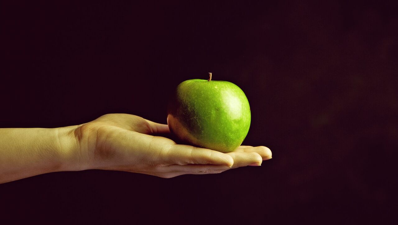 Still life photography - Still life