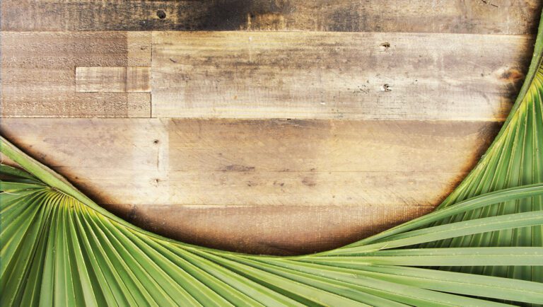 Passion Sunday - Hazelgreen United Methodist Church