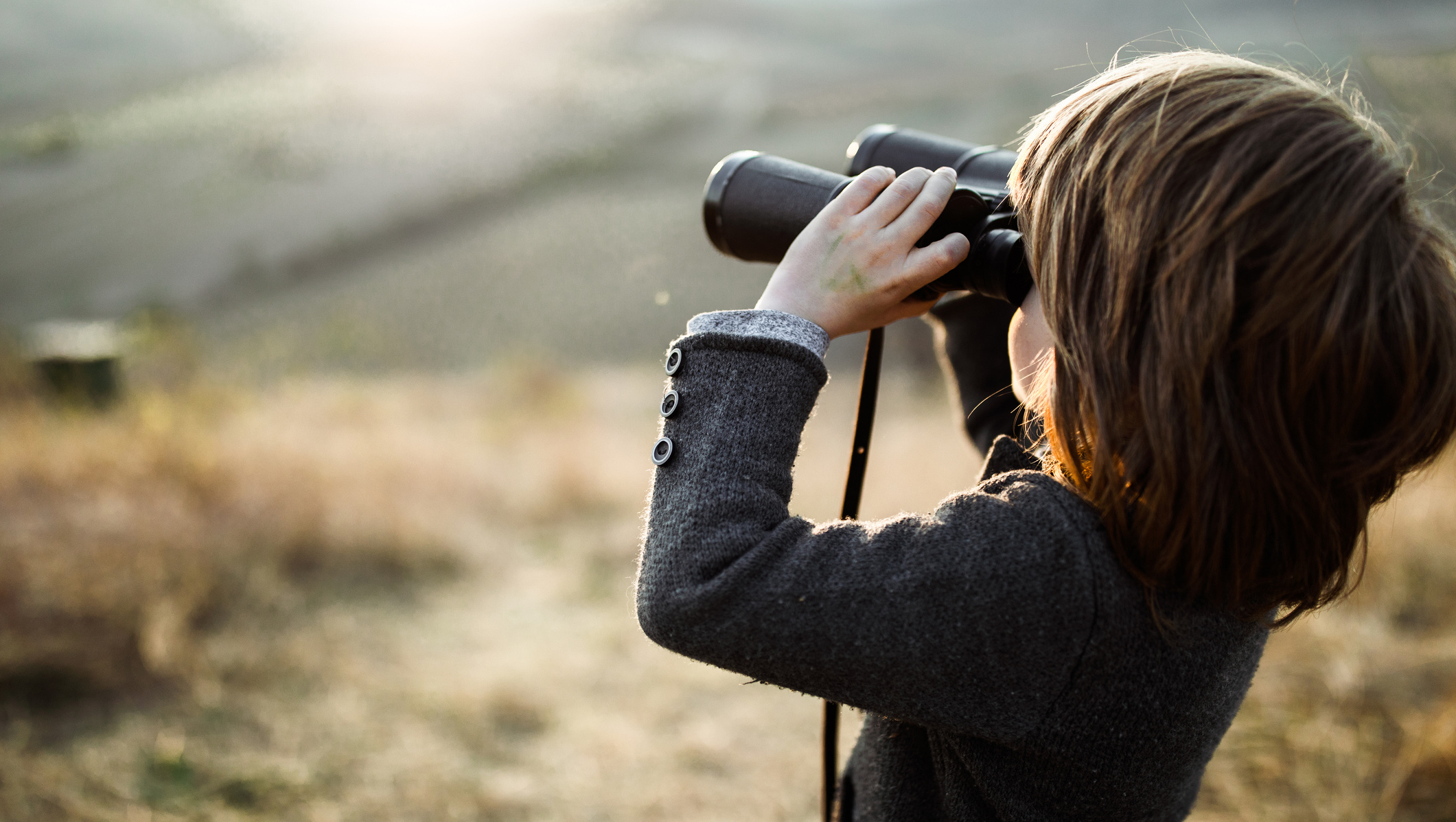 Visual perception - Visual acuity