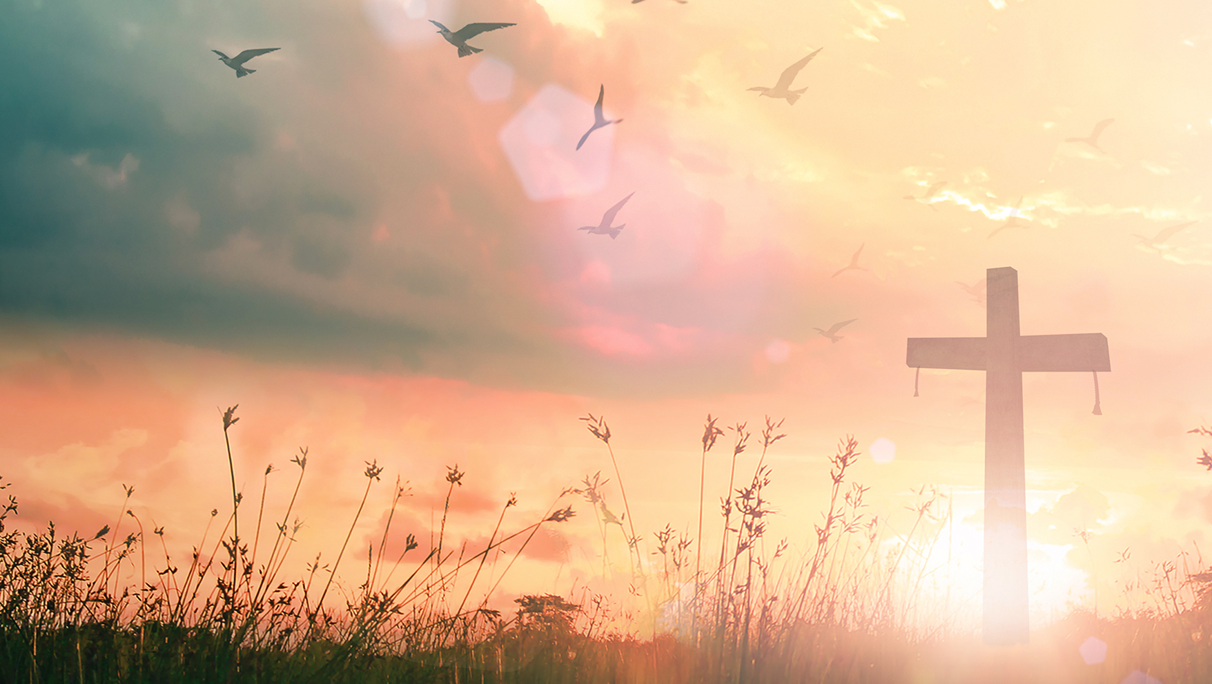 New Life Church Lutheran - Resurrection of Jesus