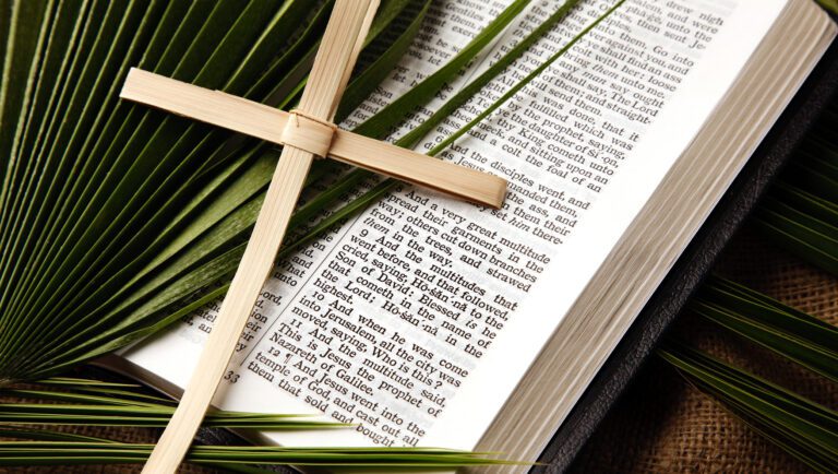 Passion Sunday - Sunday 28th March  - Palm Sunday
